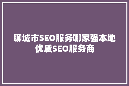 聊城市SEO服务哪家强本地优质SEO服务商