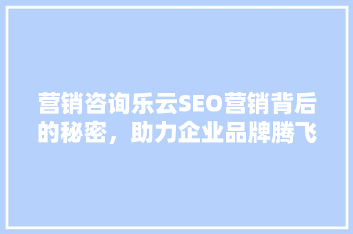 营销咨询乐云SEO营销背后的秘密，助力企业品牌腾飞