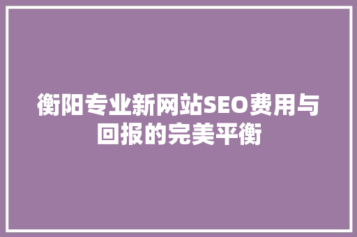 衡阳专业新网站SEO费用与回报的完美平衡