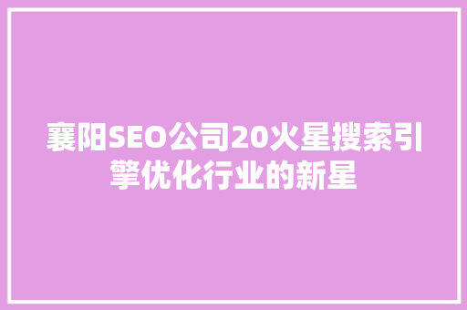 襄阳SEO公司20火星搜索引擎优化行业的新星