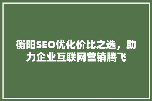 衡阳SEO优化价比之选，助力企业互联网营销腾飞