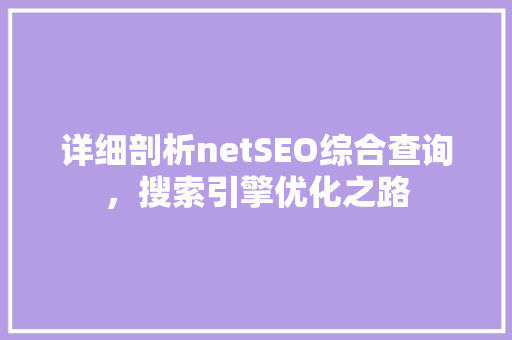 详细剖析netSEO综合查询，搜索引擎优化之路