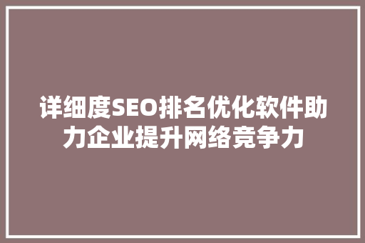 详细度SEO排名优化软件助力企业提升网络竞争力