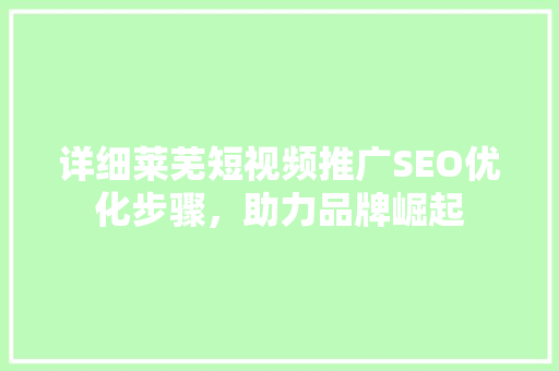 详细莱芜短视频推广SEO优化步骤，助力品牌崛起