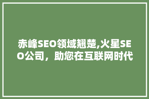 赤峰SEO领域翘楚,火星SEO公司，助您在互联网时代乘风破浪