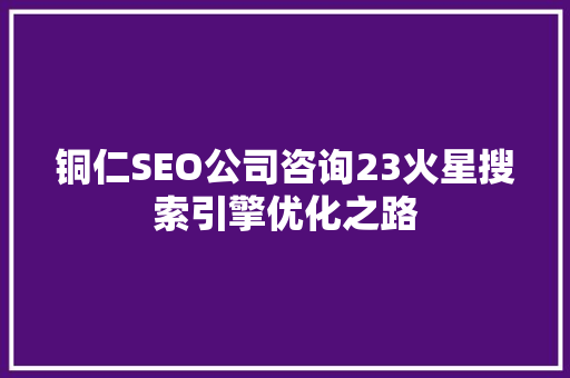 铜仁SEO公司咨询23火星搜索引擎优化之路