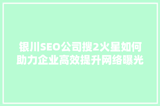 银川SEO公司搜2火星如何助力企业高效提升网络曝光度