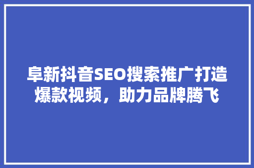 阜新抖音SEO搜索推广打造爆款视频，助力品牌腾飞