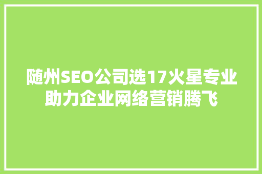 随州SEO公司选17火星专业助力企业网络营销腾飞