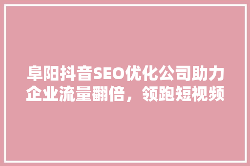阜阳抖音SEO优化公司助力企业流量翻倍，领跑短视频营销时代