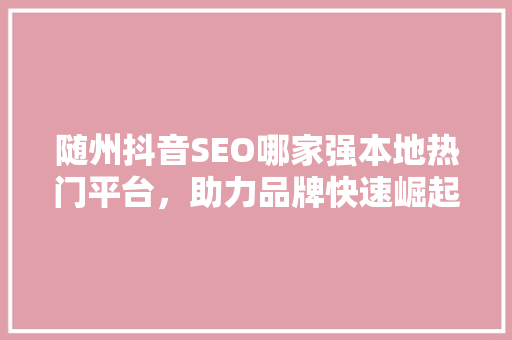 随州抖音SEO哪家强本地热门平台，助力品牌快速崛起