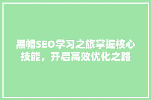 黑帽SEO学习之旅掌握核心技能，开启高效优化之路