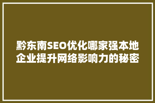 黔东南SEO优化哪家强本地企业提升网络影响力的秘密武器