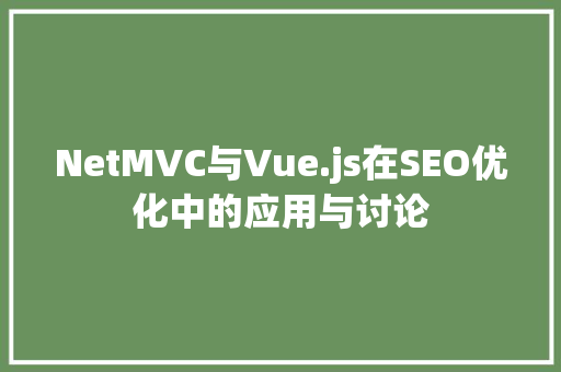 NetMVC与Vue.js在SEO优化中的应用与讨论