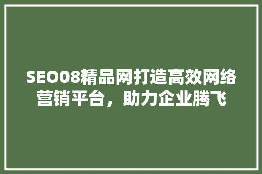SEO08精品网打造高效网络营销平台，助力企业腾飞