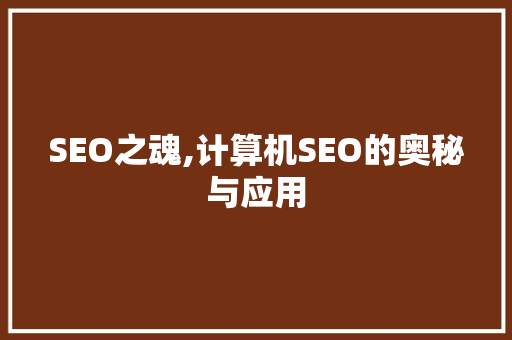 SEO之魂,计算机SEO的奥秘与应用