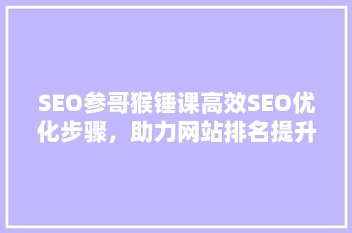 SEO参哥猴锤课高效SEO优化步骤，助力网站排名提升