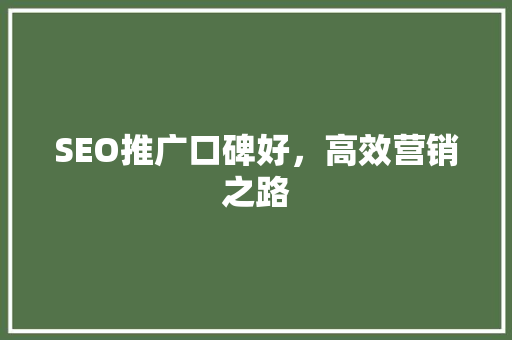 SEO推广口碑好，高效营销之路