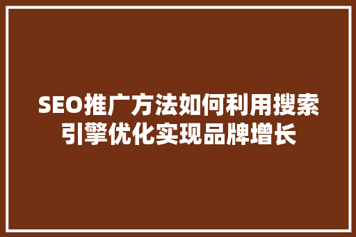 SEO推广方法如何利用搜索引擎优化实现品牌增长