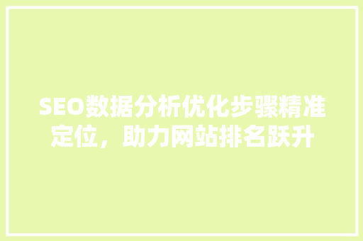 SEO数据分析优化步骤精准定位，助力网站排名跃升