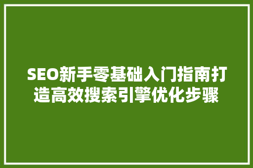 SEO新手零基础入门指南打造高效搜索引擎优化步骤