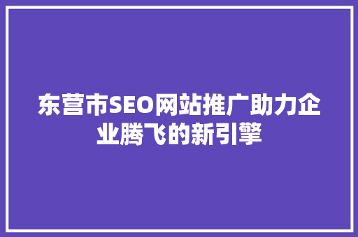 东营市SEO网站推广助力企业腾飞的新引擎