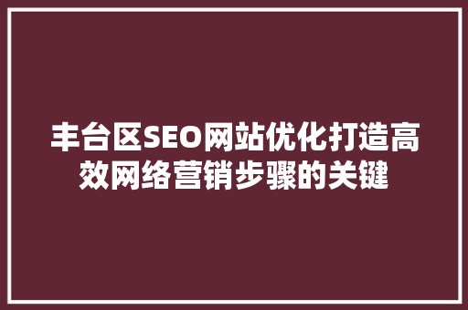 丰台区SEO网站优化打造高效网络营销步骤的关键