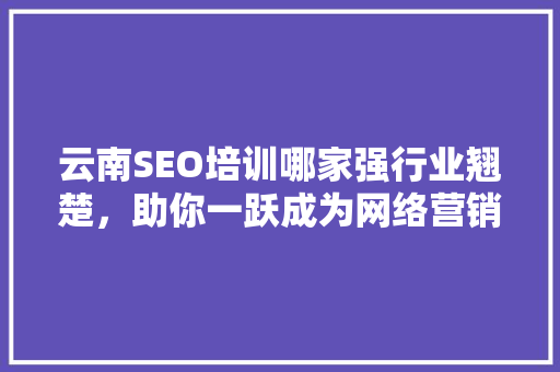 云南SEO培训哪家强行业翘楚，助你一跃成为网络营销高手