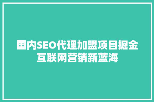 国内SEO代理加盟项目掘金互联网营销新蓝海