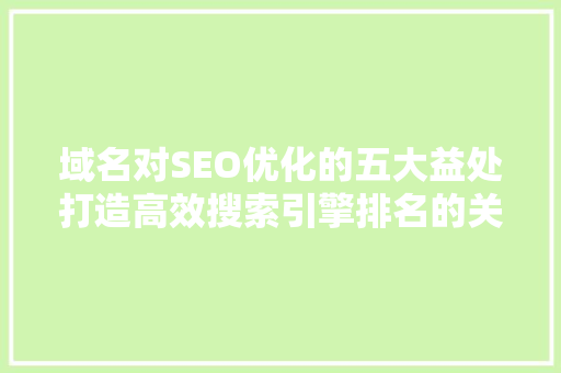 域名对SEO优化的五大益处打造高效搜索引擎排名的关键