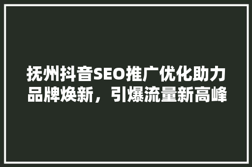 抚州抖音SEO推广优化助力品牌焕新，引爆流量新高峰