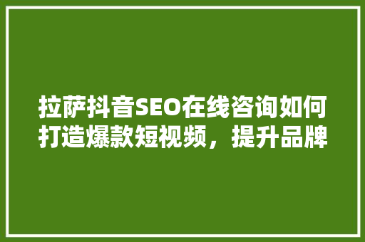 拉萨抖音SEO在线咨询如何打造爆款短视频，提升品牌影响力