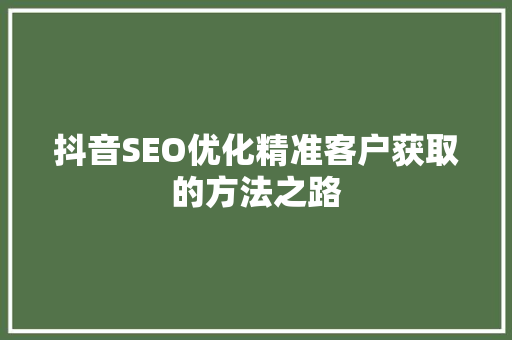 抖音SEO优化精准客户获取的方法之路