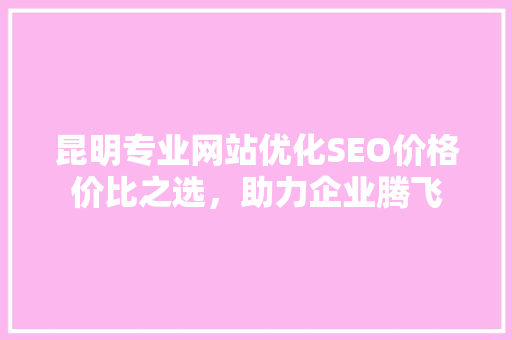 昆明专业网站优化SEO价格价比之选，助力企业腾飞