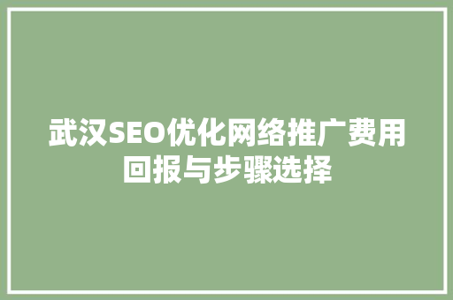 武汉SEO优化网络推广费用回报与步骤选择