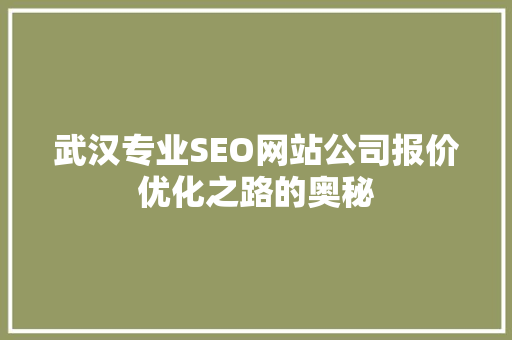 武汉专业SEO网站公司报价优化之路的奥秘
