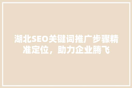 湖北SEO关键词推广步骤精准定位，助力企业腾飞