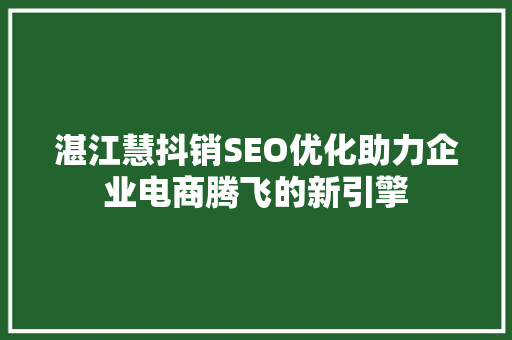 湛江慧抖销SEO优化助力企业电商腾飞的新引擎