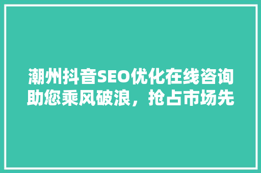 潮州抖音SEO优化在线咨询助您乘风破浪，抢占市场先机