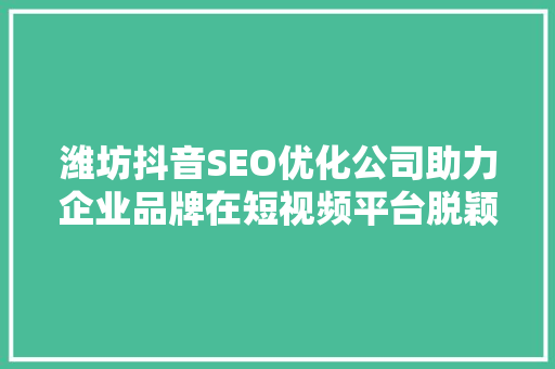 潍坊抖音SEO优化公司助力企业品牌在短视频平台脱颖而出