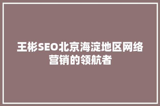王彬SEO北京海淀地区网络营销的领航者