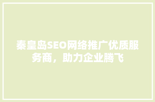 秦皇岛SEO网络推广优质服务商，助力企业腾飞