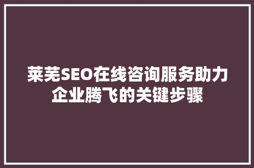 莱芜SEO在线咨询服务助力企业腾飞的关键步骤