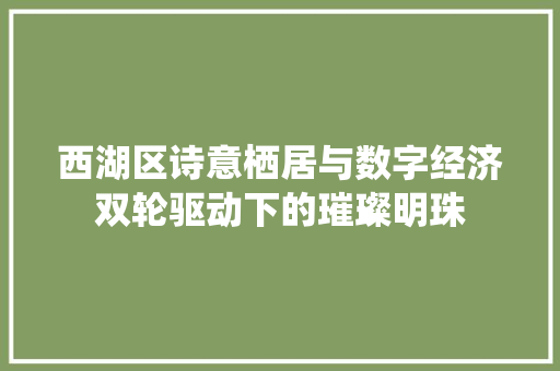 西湖区诗意栖居与数字经济双轮驱动下的璀璨明珠