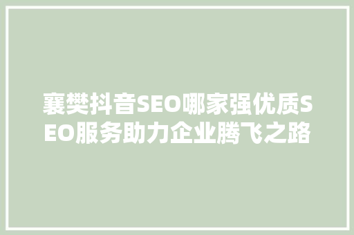 襄樊抖音SEO哪家强优质SEO服务助力企业腾飞之路