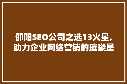 邵阳SEO公司之选13火星,助力企业网络营销的璀璨星辰