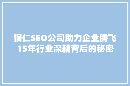 铜仁SEO公司助力企业腾飞15年行业深耕背后的秘密