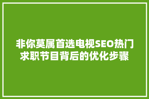非你莫属首选电视SEO热门求职节目背后的优化步骤