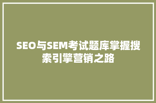SEO与SEM考试题库掌握搜索引擎营销之路