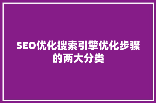 SEO优化搜索引擎优化步骤的两大分类